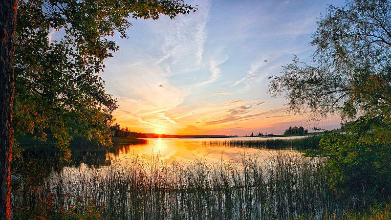 Волжско-Камский заповедник