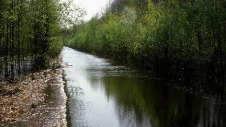 Окский биосферный государ­ственный заповедник