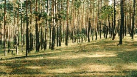 Воронежский государственный природный биосферный заповедник им. В. М. Пескова