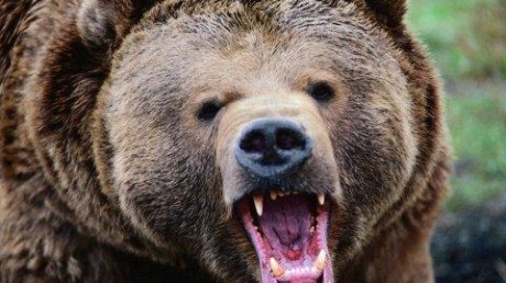 Сихотэ-Алинский государственный биосферный заповедник