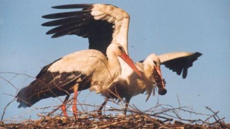 Национальный парк «Угра»