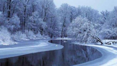 Брянский лес (ядро Неруссо-Деснянского полесья)