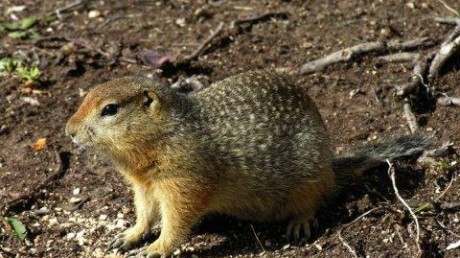 Кроноцкий государственный биосферный заповедник