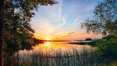 Государственный природный биосферный заповедник «Керженский»