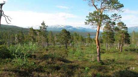 Пинежский государственный природный заповедник