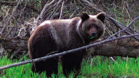 Юганский государственный природный заповедник