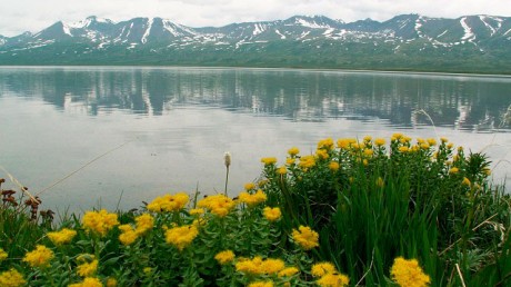 Алтайский государственный природный биосферный заповедник